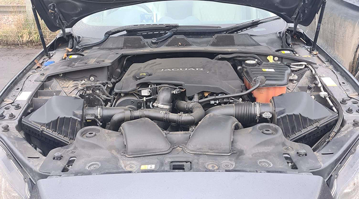 Jaguar Engine for Sale
