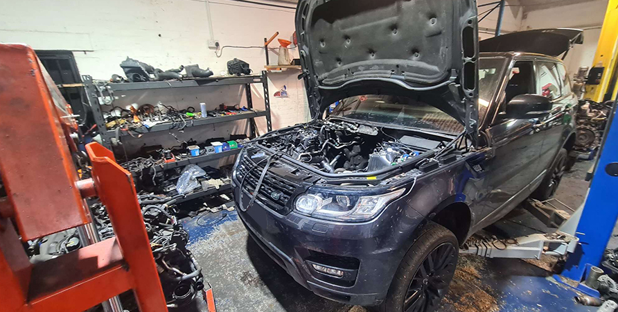 Why Trust Royal Rebuilds for Your Discovery Engine